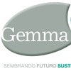 Gemma 